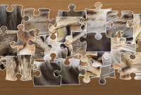 jigsaw-puzzle-classic