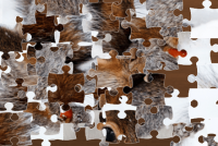 jigsaw-puzzle-xmas